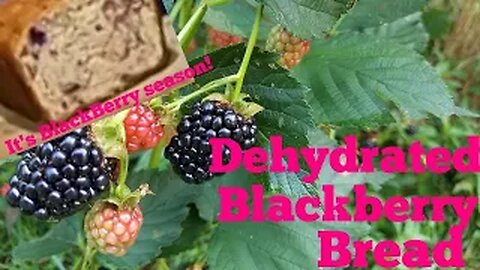Dehydrated Blackberry Bread