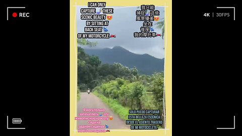 Immerse yourself in the wild beauty of untamed landscapes! #Viral #Trend