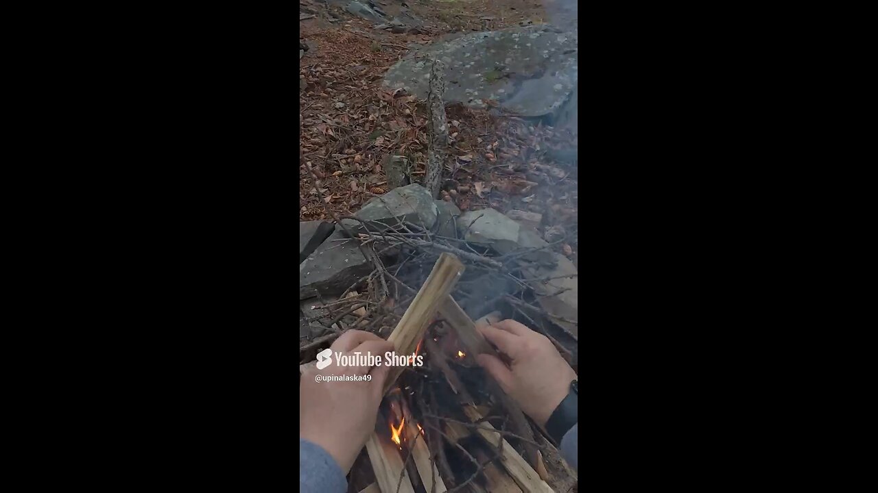Camping ASMR #Subscribe #Alaska #Outdoor #Bushcraft #Nature #Campfire #ASMR #fyp #DJIaction5pro