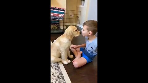 dog are like brother very emotional trusted
