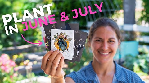 Best Vegetables to Grow in Florida Heat (June & July)