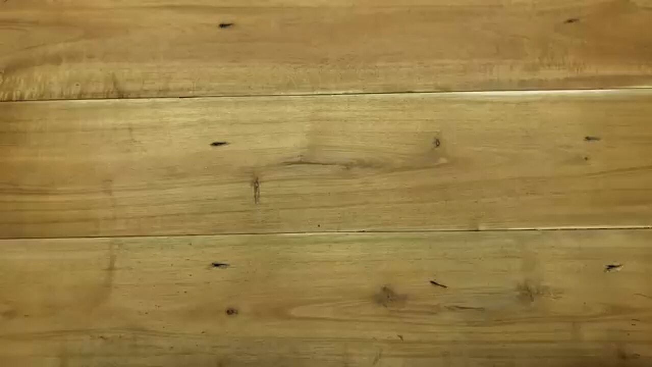 Origami