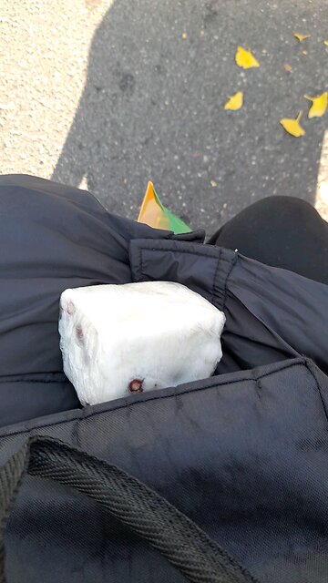 20251116. Worship. Pastor Jeon Guang Hun.