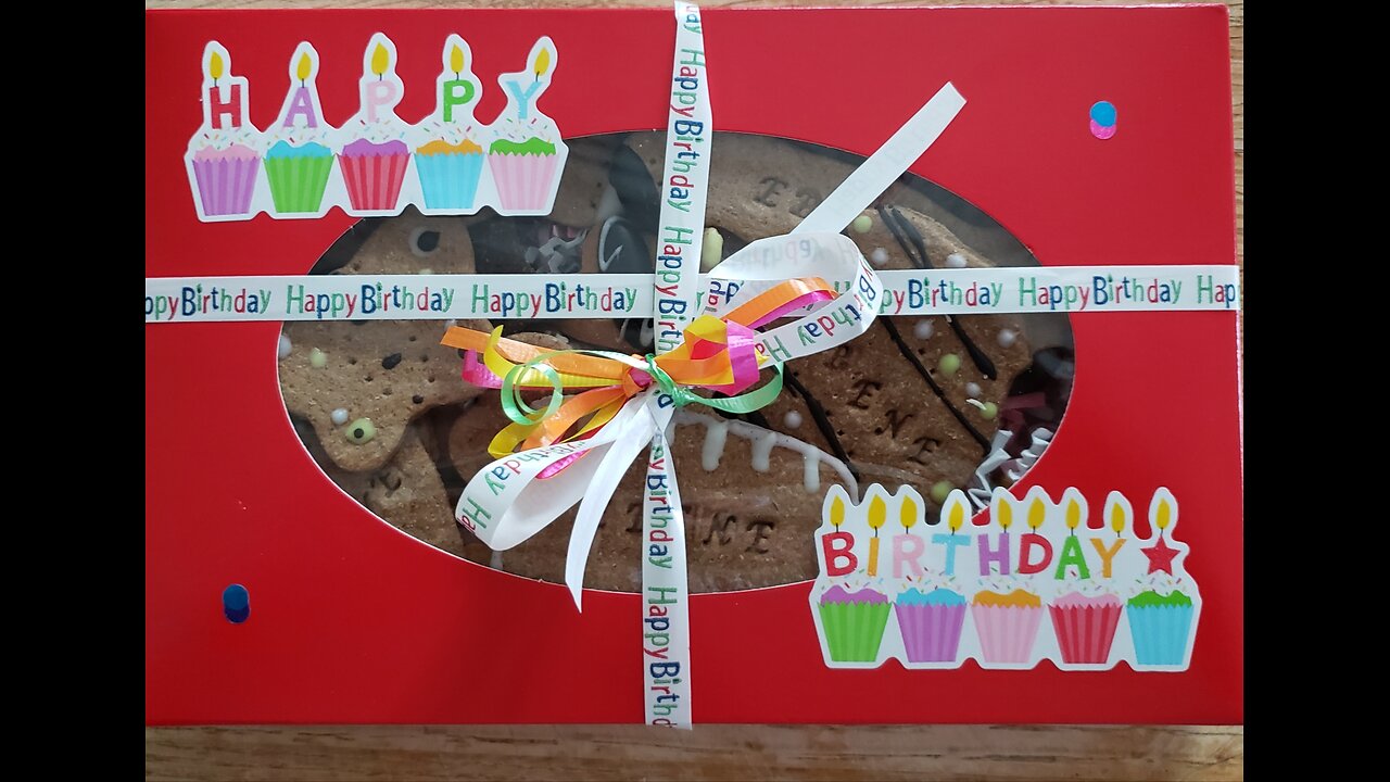 Ebene is 8 y/o today!