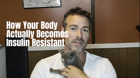 How Your Body Actually Becomes Insulin Resistant (Part Two)
