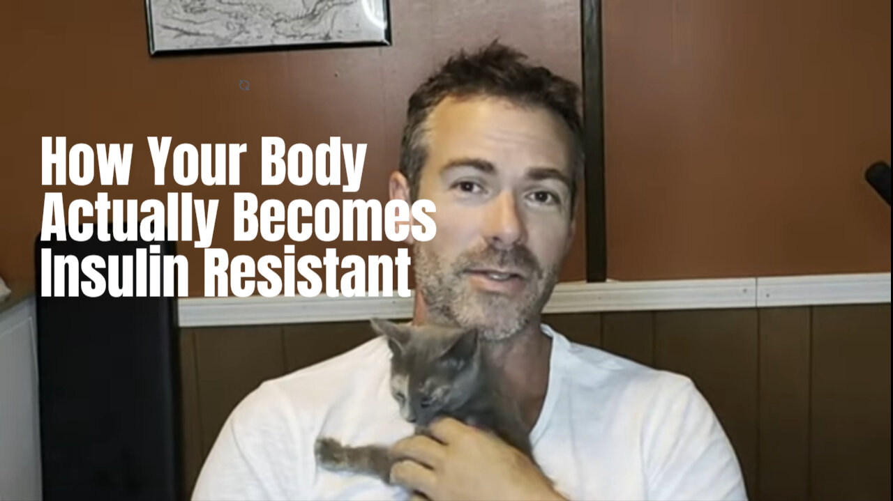 How Your Body Actually Becomes Insulin Resistant (Part Two)