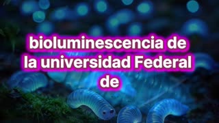 Qué son los glowworms.
