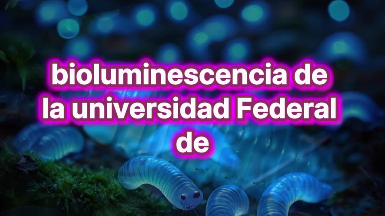 Qué son los glowworms.