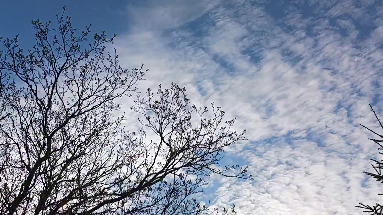 Airplane exhaust expands to completely blocks out the sun when radiated with EMF radiation.