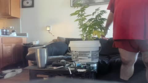 Ate a whole tray of weed butter enchiladas and blacked out at work. I got blacked at work.