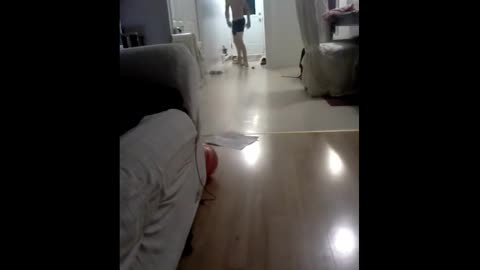 Sexy and I Know It