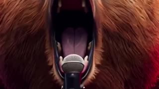 sons de urso rugindo.mp4