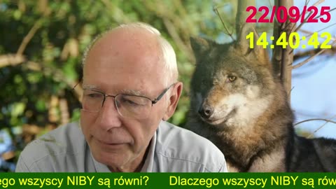 Dlaczego wszyscy NIBY są równi?