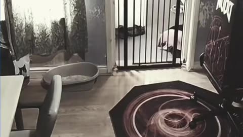 😨👻 #perte #xte #neiperte #portamineiperte #foryou #foryourpage #fypage #... | TheHauntingHour