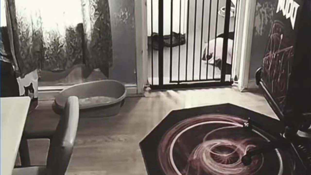 😨👻 #perte #xte #neiperte #portamineiperte #foryou #foryourpage #fypage #... | TheHauntingHour