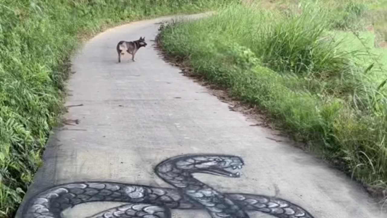 3D painting giant snake in the road
