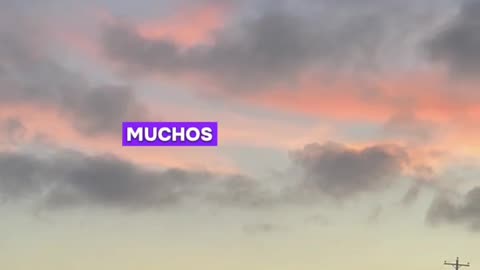 Profecía - Amigos escuchenme con atencion.