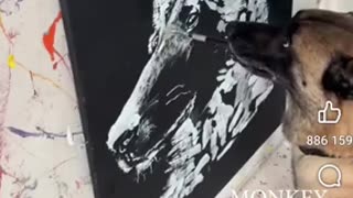 Good Dog