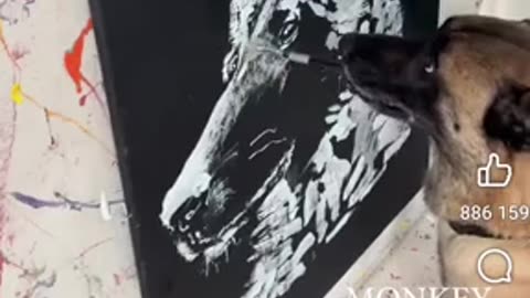 Good Dog