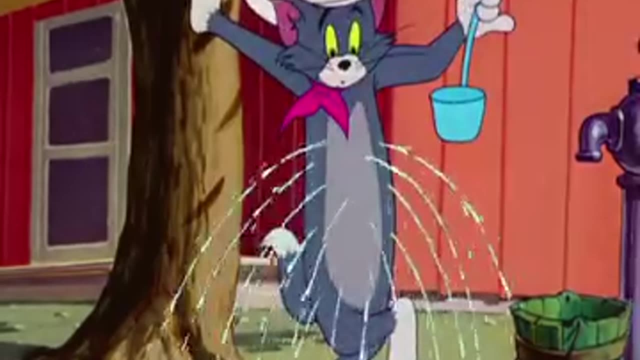 Tom and jarry funny vidieo song