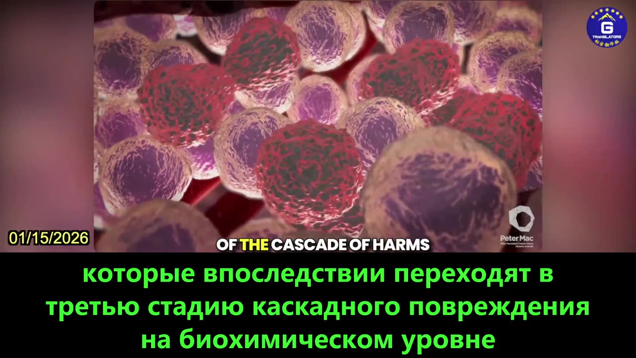 【RU】Николас Халшер объясняет цепную реакцию вреда от прививок мРНК от КОВИД-19