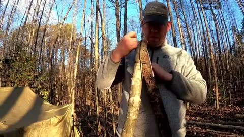 1 Year in Log Cabin Survival Shelter part3