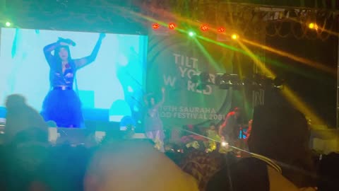 Ma ta dhale dhale live concert at sauraha food festival- Mr Hasi Vlog