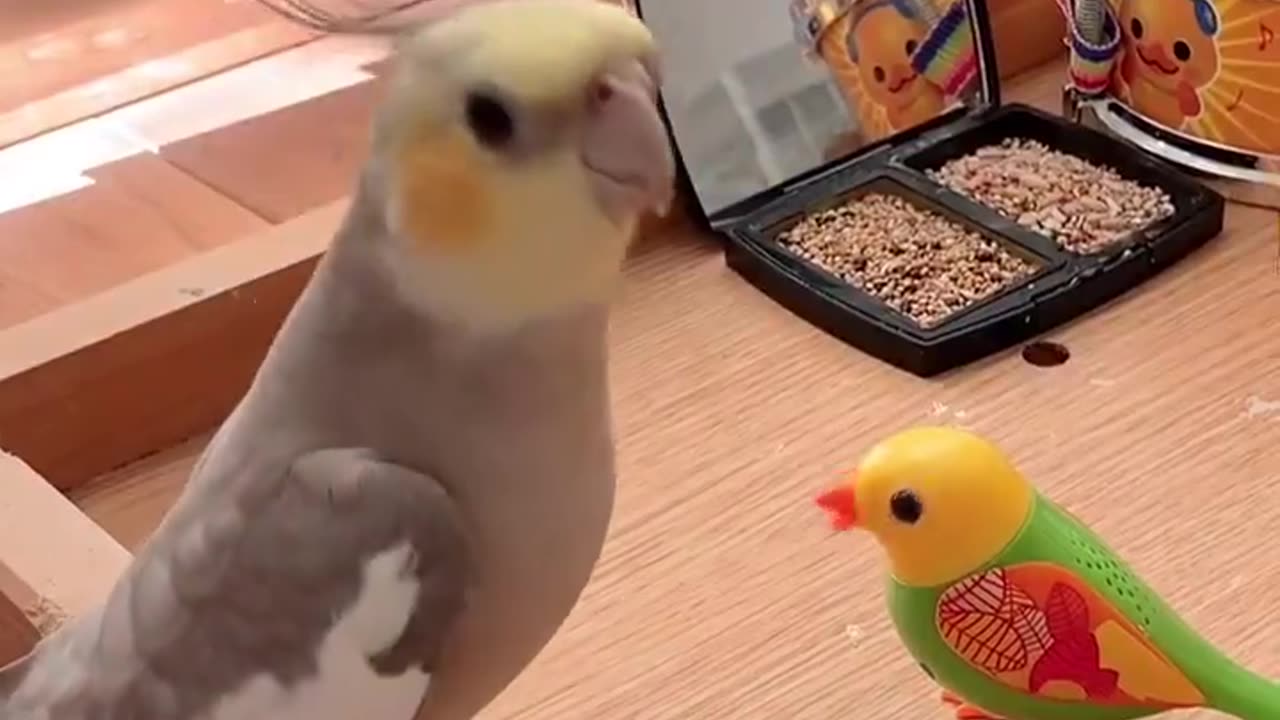 This is his jam!