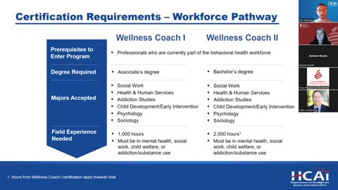 Wellness Coaches: A New Opportunity to Enhance Behavioral Health in School-Based Health Centers