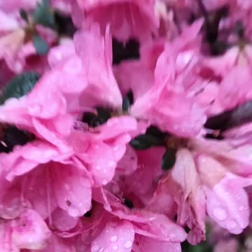 ¡Feliz Día de las Madres!