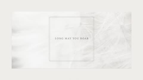 Taylor Swift - Robin (Official Lyric Video)