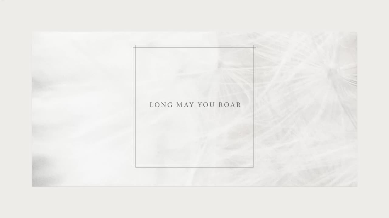 Taylor Swift - Robin (Official Lyric Video)