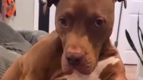 😂🤣 The Epic Fail is Too Funny! | FunFM