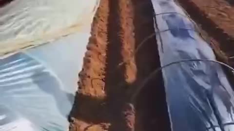 Not just a friend, but also a helper