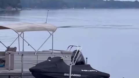 LAKE CHAMPLAIN SEA MONSTER SIGHTING