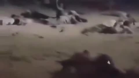 Shocking video captures the moment a suicide bomb - islamist