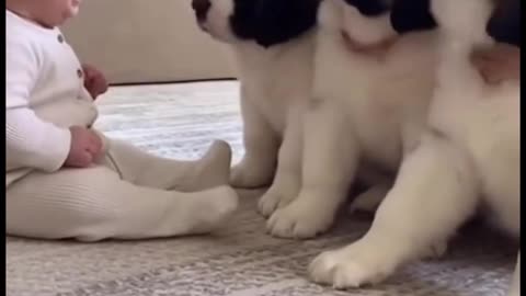 Baby’s Cutest Playtime with Cat 🐱👶 | Adorable Moments"