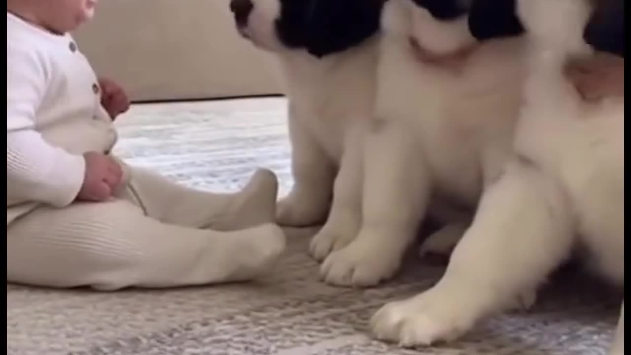 Baby’s Cutest Playtime with Cat 🐱👶 | Adorable Moments"