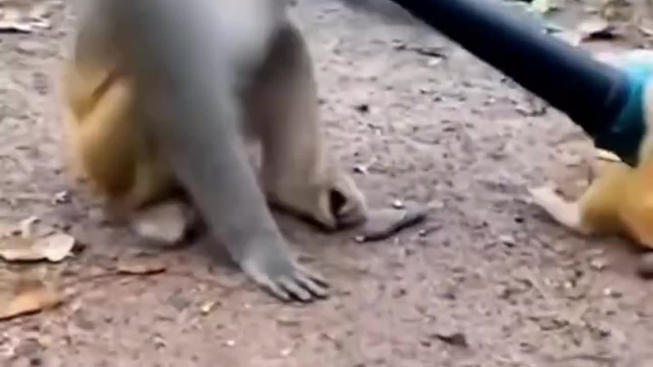 That's how you dry ur hair... hahaha 😂