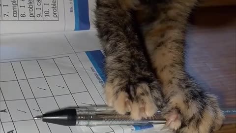 Cat Too Lazy to Hold the Pen