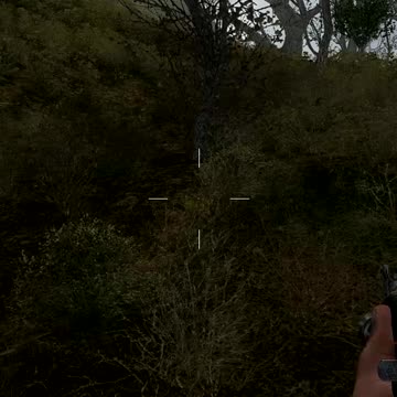 S.T.A.L.K.E.R - SoC - Surviving (Survival II)