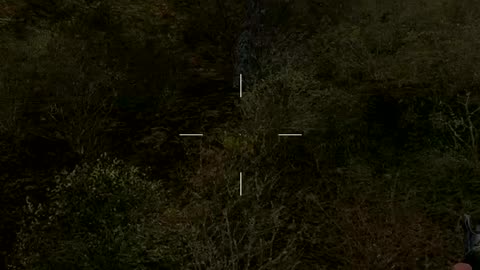 S.T.A.L.K.E.R - SoC - Surviving (Survival II)