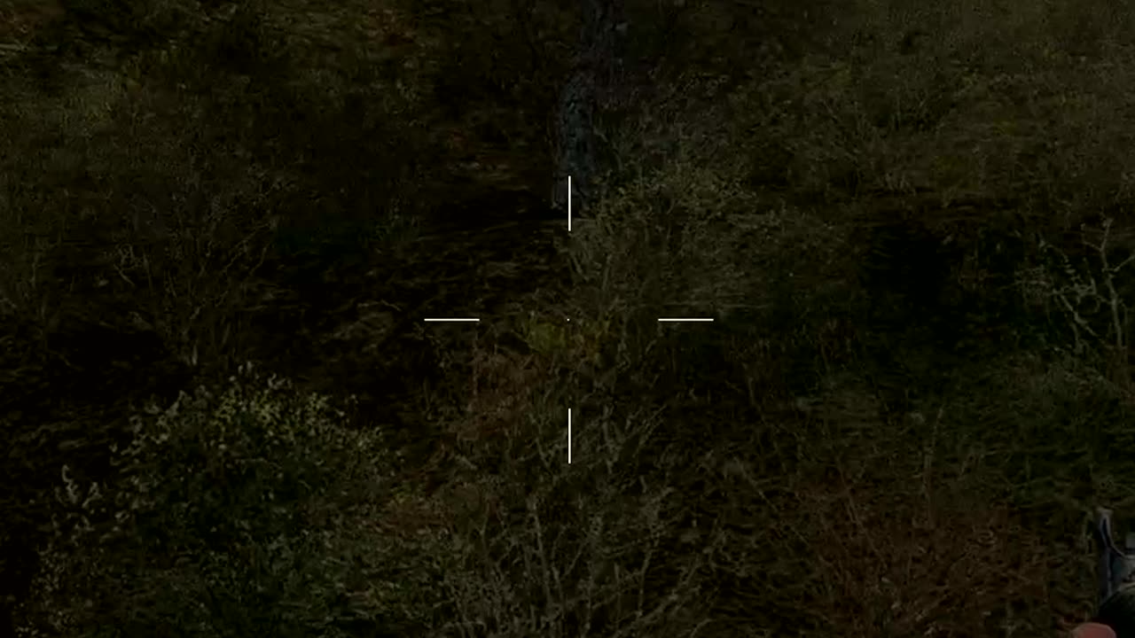 S.T.A.L.K.E.R - SoC - Surviving (Survival II)