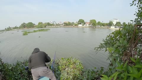 Brasse am Ufer Der große Fang #Brassenangeln #Flusszauber #Fischzeit
