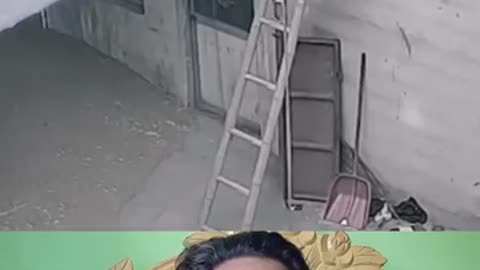 Funny