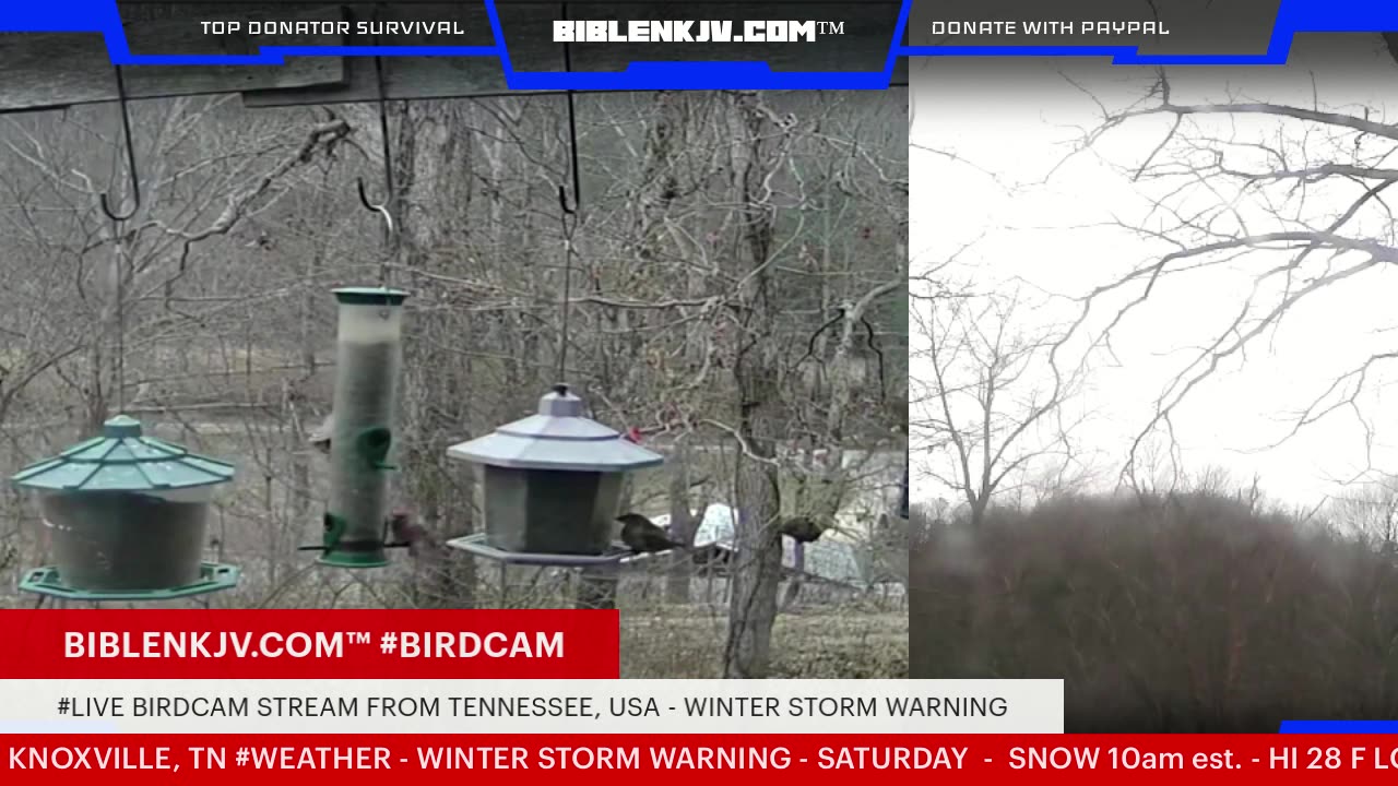 BIBLENKJV.COM™ 1/24/2026 #LIVE #BIRDCAM #WEATHER