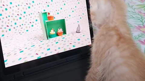😂🍊 Orange Babies Living Their Best Life! | FunFM