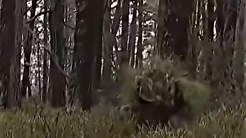 Watch this Sniper disappear! #shorts