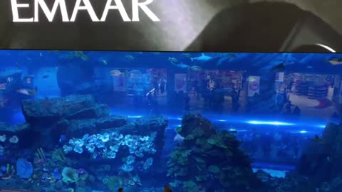 The Dubai Mall Aquarium & Underwater Zoo