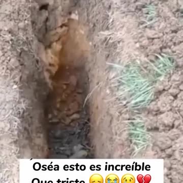 Definitivamente así no 🥹.mp4